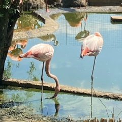 Наталия Карташова-Дорожкина, 01.06, Москва