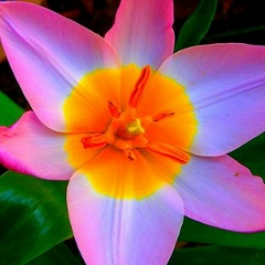 Юлия Клещенко, 24.06, Гомель