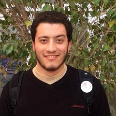Baher Bob
