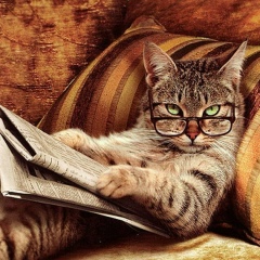 Михаил Толдиев, 27.08.1981, Санкт-Петербург