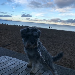 Zhanna Dairova, 14.10.1996, Атырау