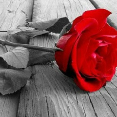 Анель Бекболатова, 16.05.1994, Москва