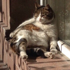 Вадим Шаповалов