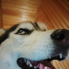 Алексей Машин, 05.10.1988, Москва