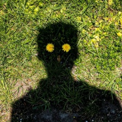 Anthony Berger, 24.05, Kawasaki