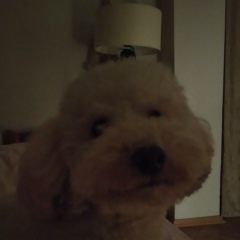 Milana Davydova, 13.03.2009, Харьков