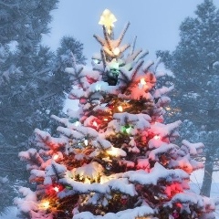 Юлия Алексеевна, Санкт-Петербург