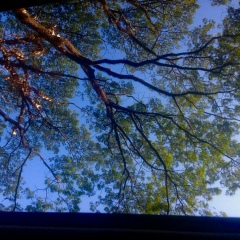 Eainjallar Nwe, 08.05, Yangon