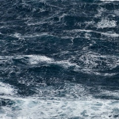 Гриша Детистов, 27.01, Тольятти