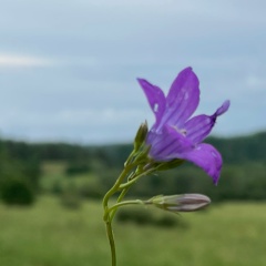 Алена Вакулина, 04.09, Санкт-Петербург
