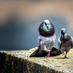 Дмитрий Калинин, 08.05, Москва