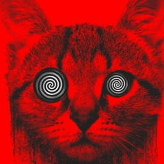 Kermit Kermitov, 27.10, Биробиджан