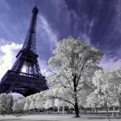 Асия Жолдыбай, 08.08, Астана