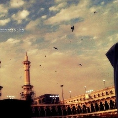 Хадижа Айдамирова, 03.02