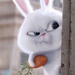 Раиса Степанищева, 11.07.1955