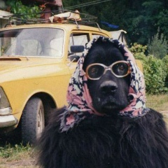 Александр Крылов, 04.08.1985, Москва