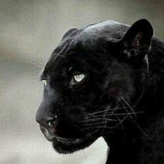 Маремка Угурчиева, 06.08.1906