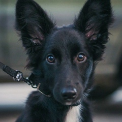 Глеб Зайцев, 09.08.1987, Санкт-Петербург