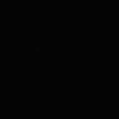 Светлана Белополова