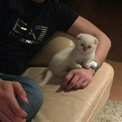 Ислам Бикбаев, 27.11, Алматы