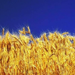 Наталья Валькова, 18.01