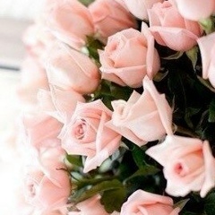 Gaukhar S, Алматы