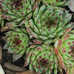 Марусина Дача, 24.09, Москва