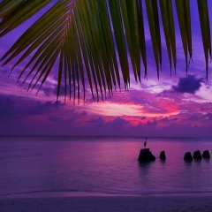 Syuzi Harutyunyan, 06.03.1996, Ереван