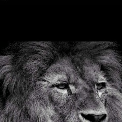 Динмухамед Магрупов, 18.08.1985, Актау