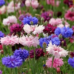 Назерке Тлеужанова, 14.06.1992, Усть-Каменогорск