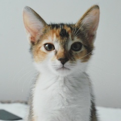 Артем Глотко, 06.05, Москва