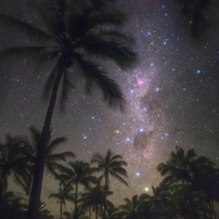 Vitalii Kubryk, 22.01, Володарка