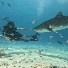 Никита Корнилов, 14.02.1994, Москва