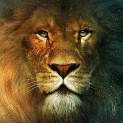 Тимур Ахмедьянов, 19.04, Санкт-Петербург