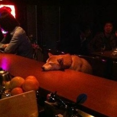 Григорий Зайцев, 28.09