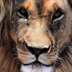 Арыстан Кадиев, 27.01.1998, Актау