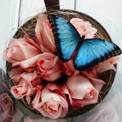 Виктория Ломакина, 15.10, Алматы