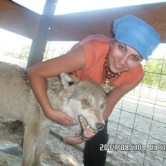 Ольга Сырых, Алматы