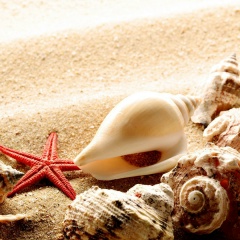 Мариночка Бороненкова, 22.08, Санкт-Петербург