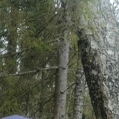 Илья Лукин, 24.05, Москва