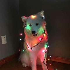 Александр Бобров, 17.04.1995, Березовка