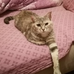 Сергей Логинов, 11.12, Южно-Сахалинск