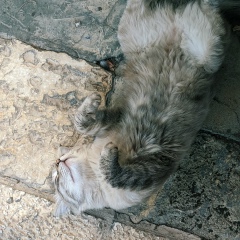 Лиза Осипова, 28.10.1986, Москва