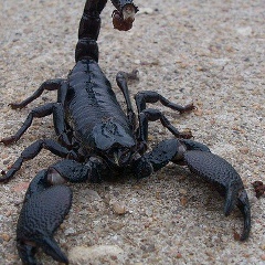 Кайрат Аймурзин, 03.11.1986, Уральск