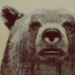 Олег Мирошниченко, 19.01.1986, Кривой Рог