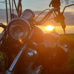 Дмитрий Серебренников