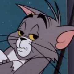 Lancelord Puttana Di Trevi, Dublin