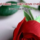 Марина Бечканова, Нальчик