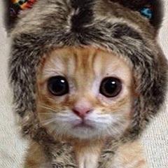 Роман Петров, 01.11.1981, Ижевск