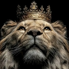 Алексей Коновалов, 06.06.1990, Абакан